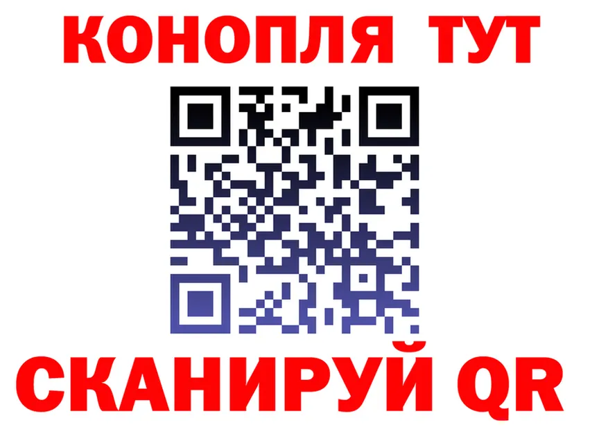 Альфа ПВП СК КРИС вход площадка hydra Высоцк