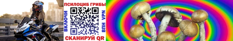 Галлюциногенные грибы мухоморы  как найти   Высоцк 